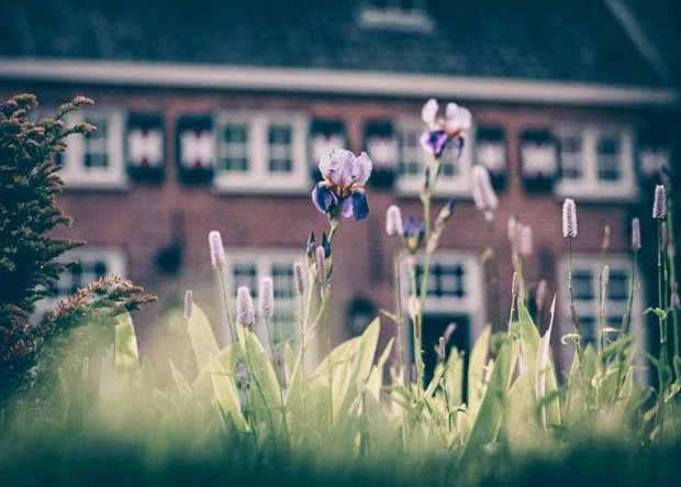 Workshop schapendrijven waarom kiezen voor Kasteel Maurick