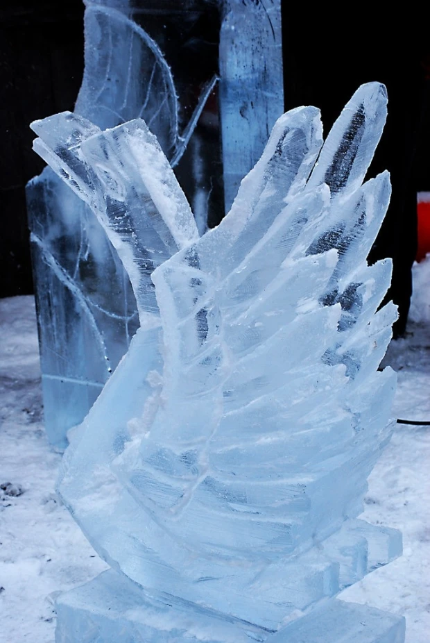 IJssculpturen workshop